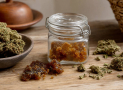 Cómo conservar el hash CBD para que no se seque: temperatura, humedad, recipientes y trucos para mantener su textura