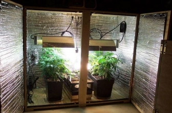Los 7 mejores armarios de cultivo interior